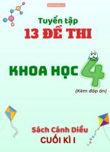 Tuyển tập 13 Đề thi cuối Kì 1 môn Khoa học 4 sách Cánh Diều (Kèm đáp án)